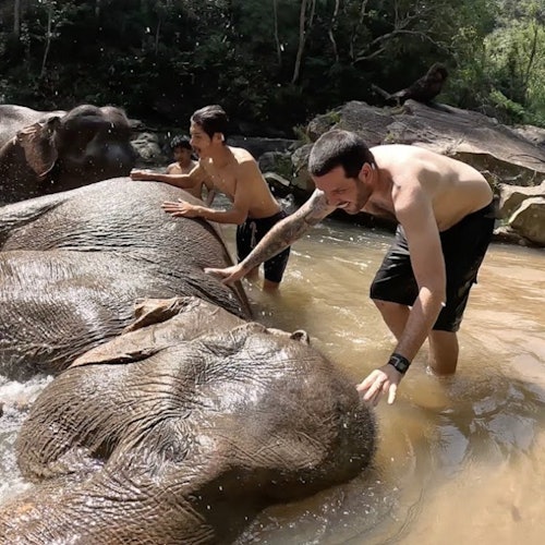Chiang Mai: Elephant Sanctuary + ATV Adventure — gallery 5