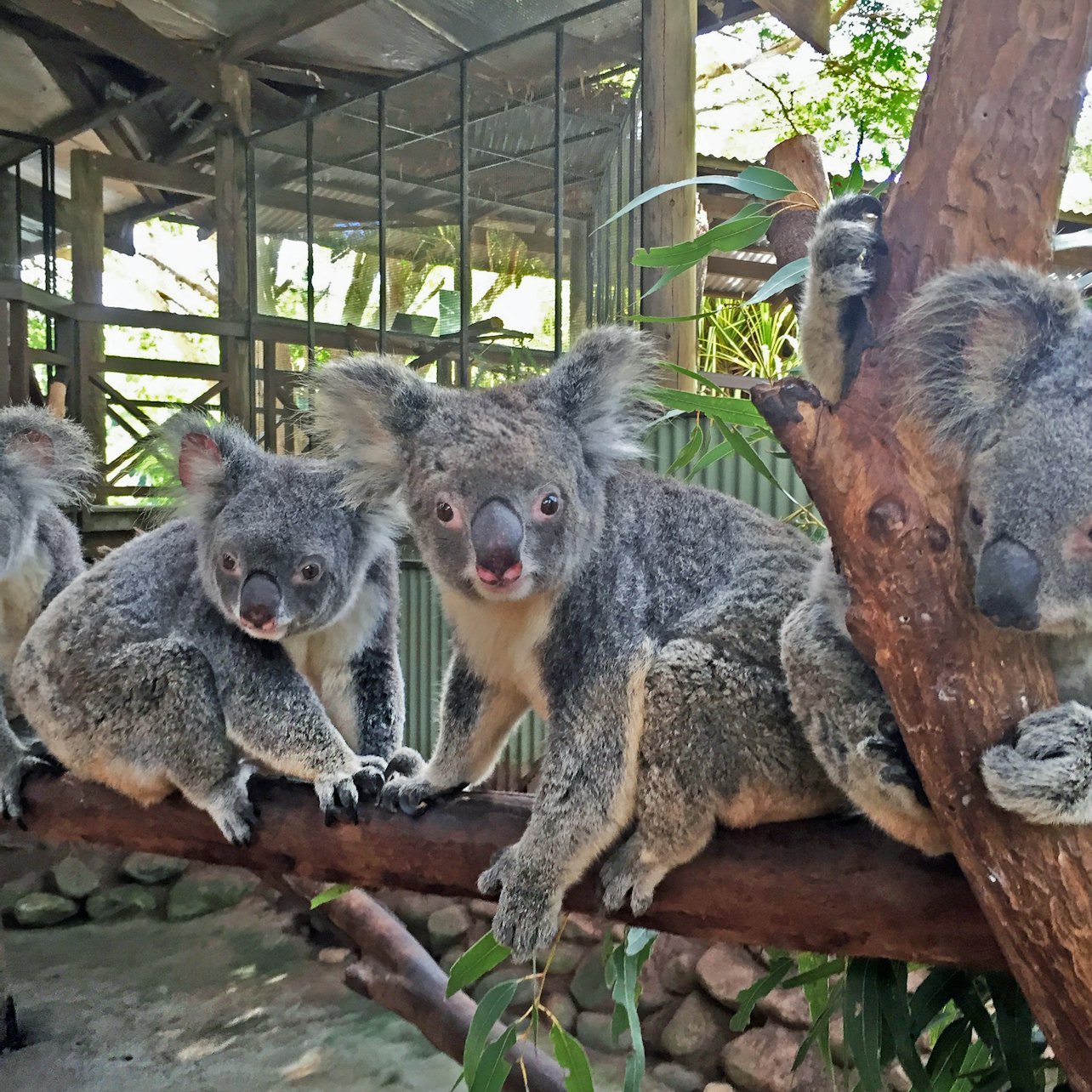 Rainforestation Nature Park