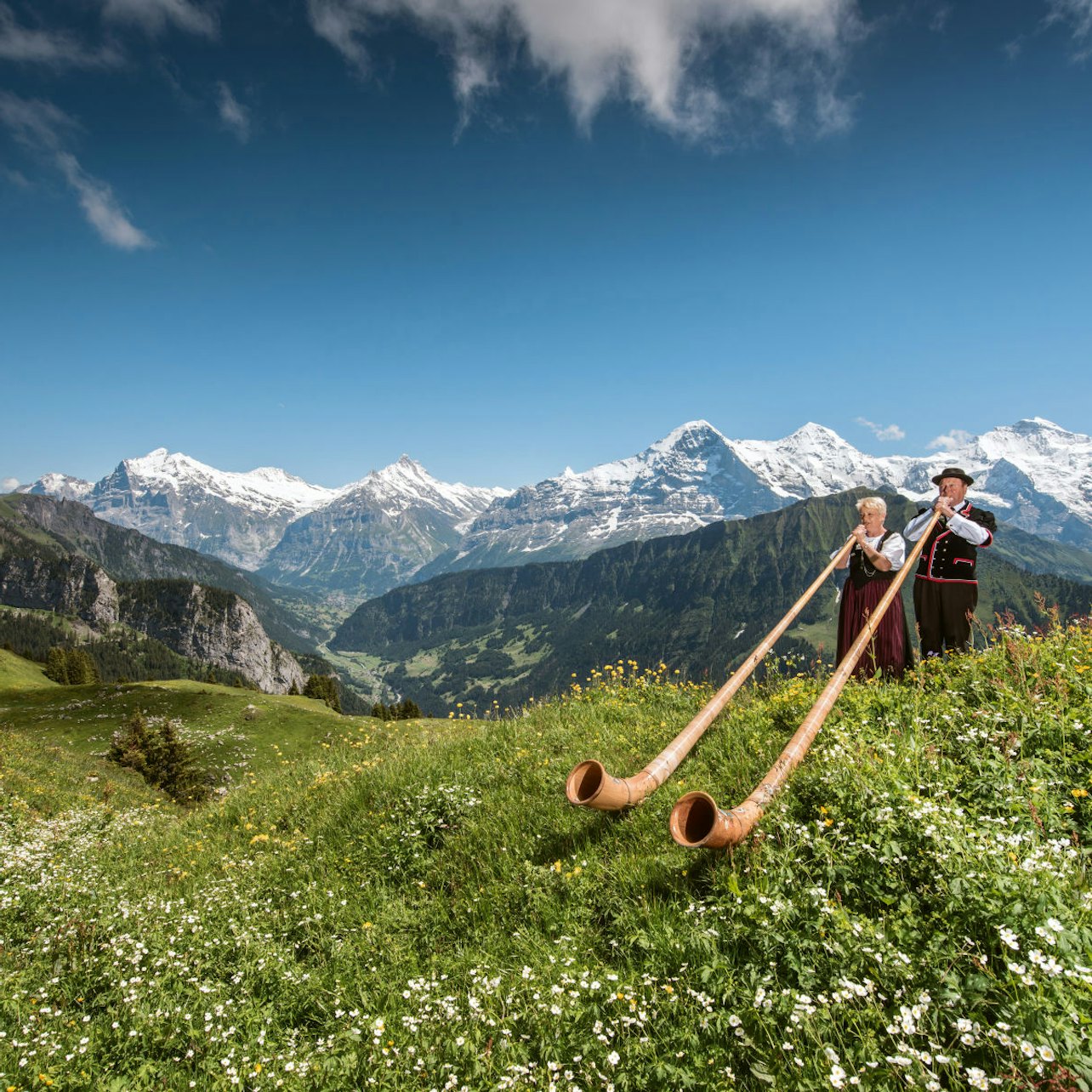 Schynige Platte: Roundtrip Rack Railroad From Wilderswil