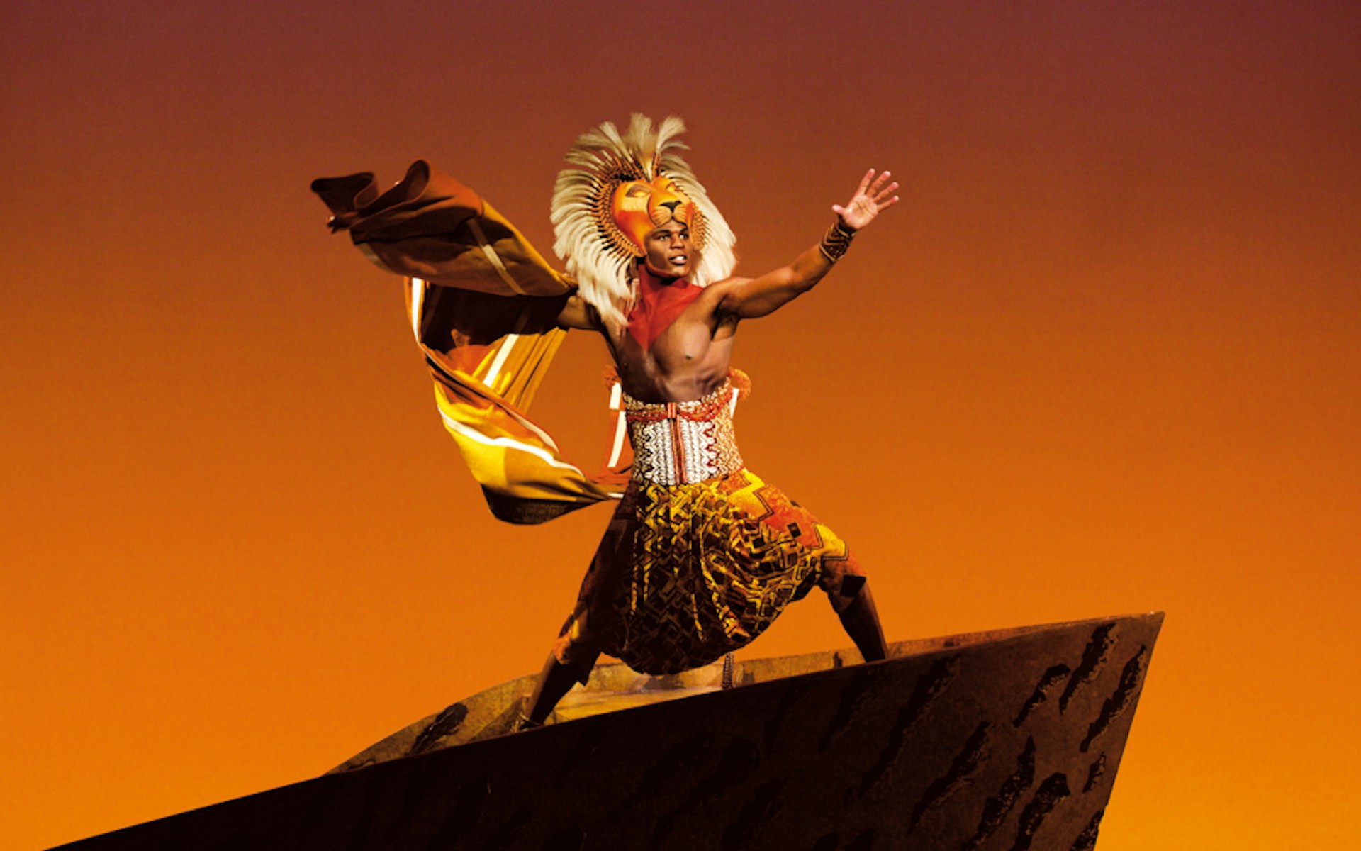 The Lion King — photo 5