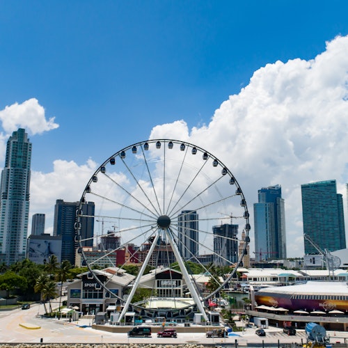Skyviews Miami Observation Wheel: Entry Ticket — gallery 1