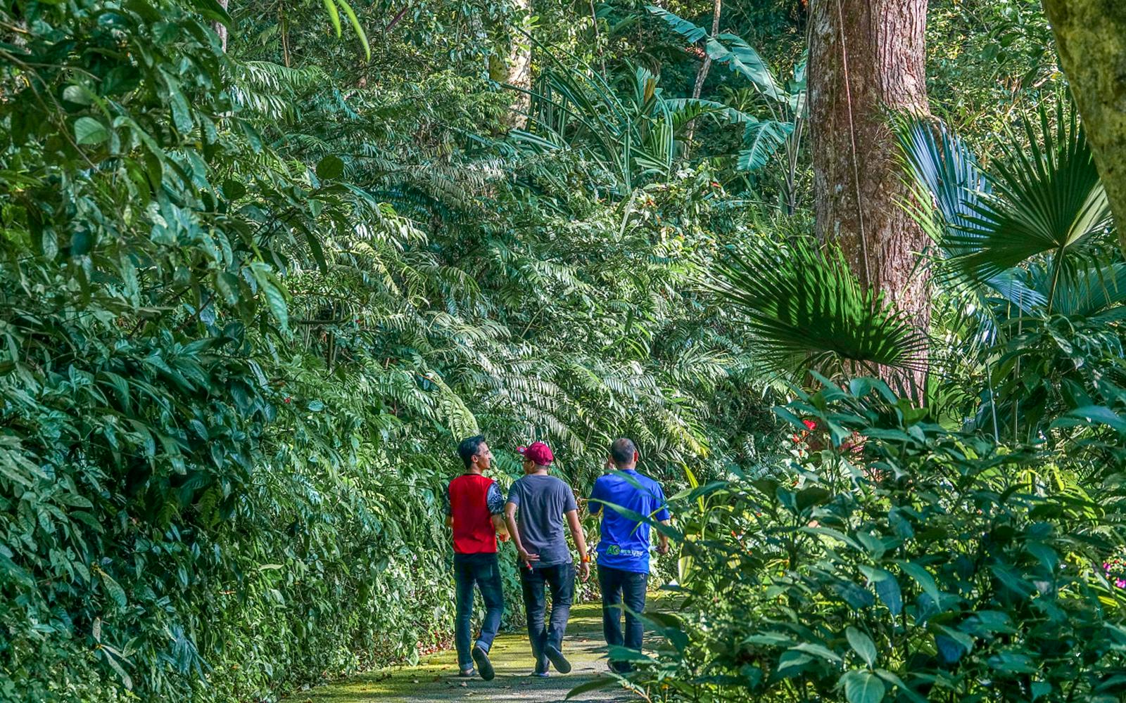 The Habitat Penang Hill Tickets