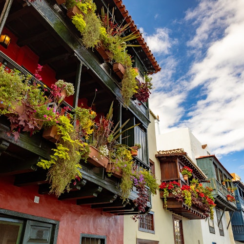 La Palma: Small Group Guided Day Tour from Tenerife + Lunch + Boat Ride