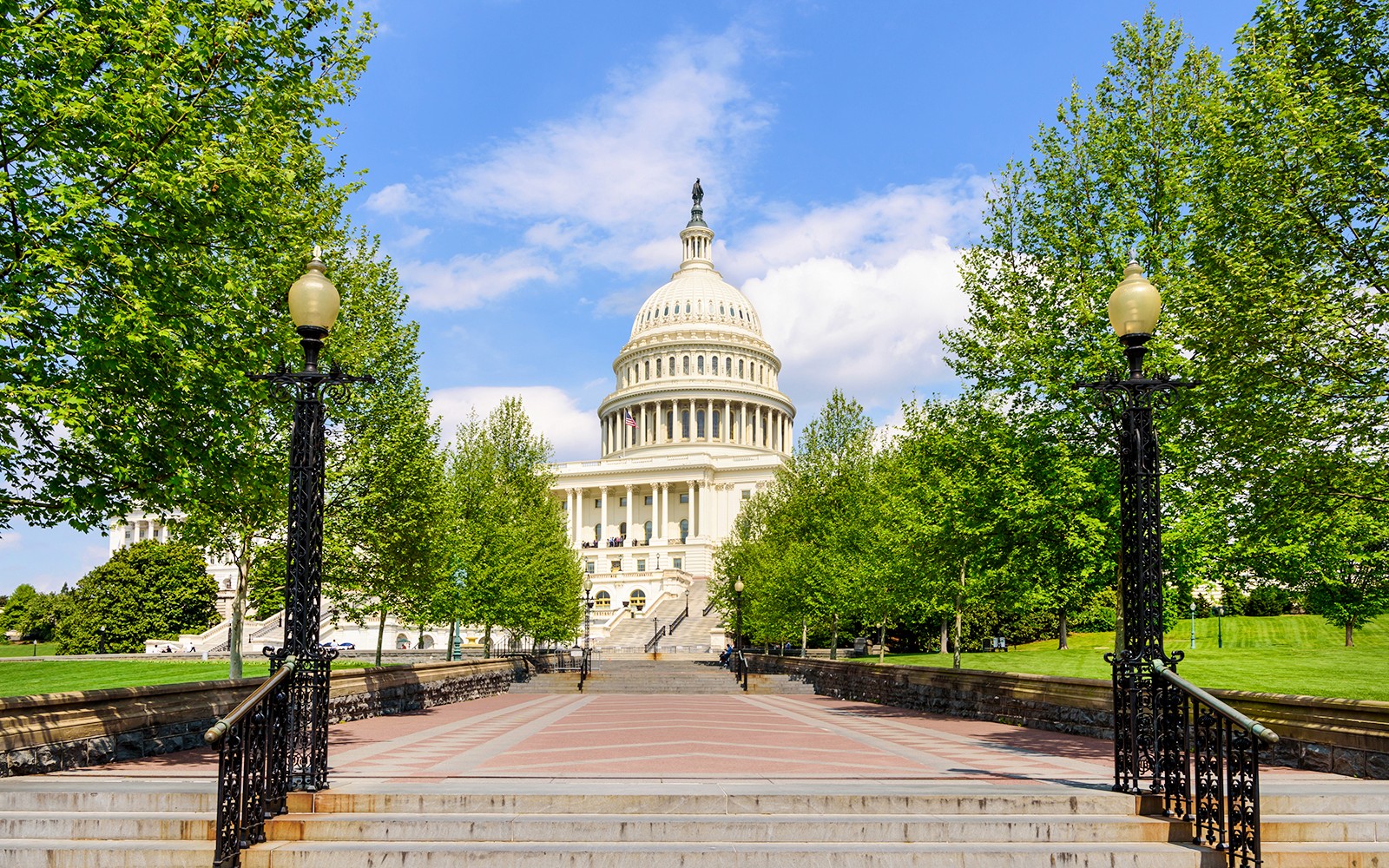 From NYC: Washington DC Day Tour — gallery 3
