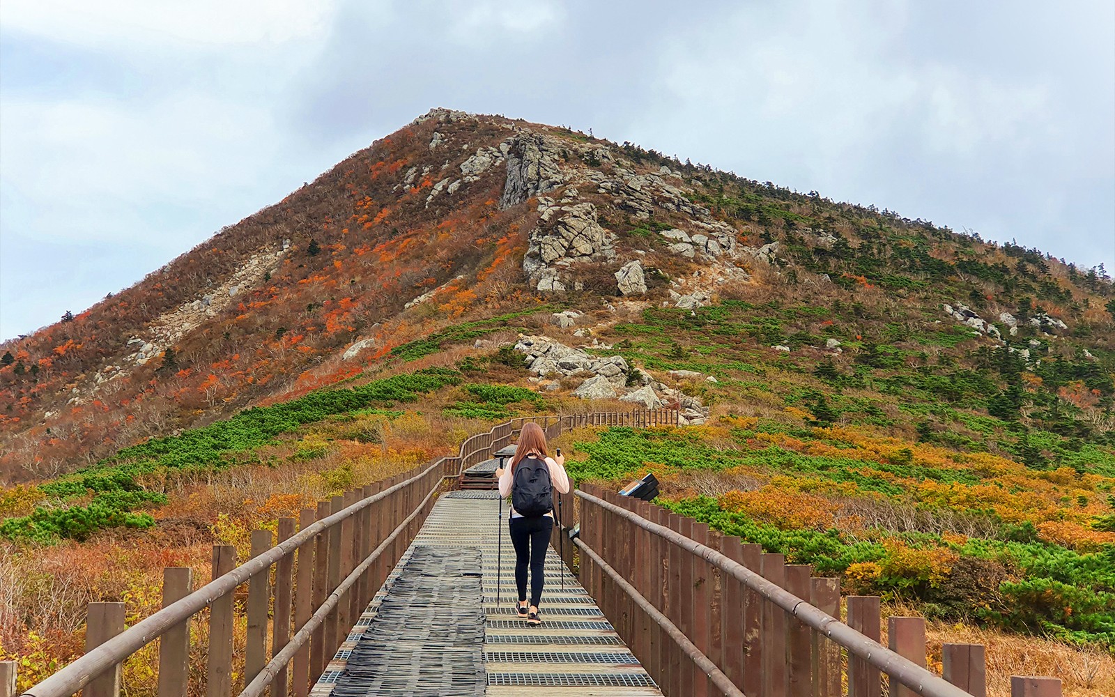Nami Island & Mount Seorak Day Tour — gallery 4
