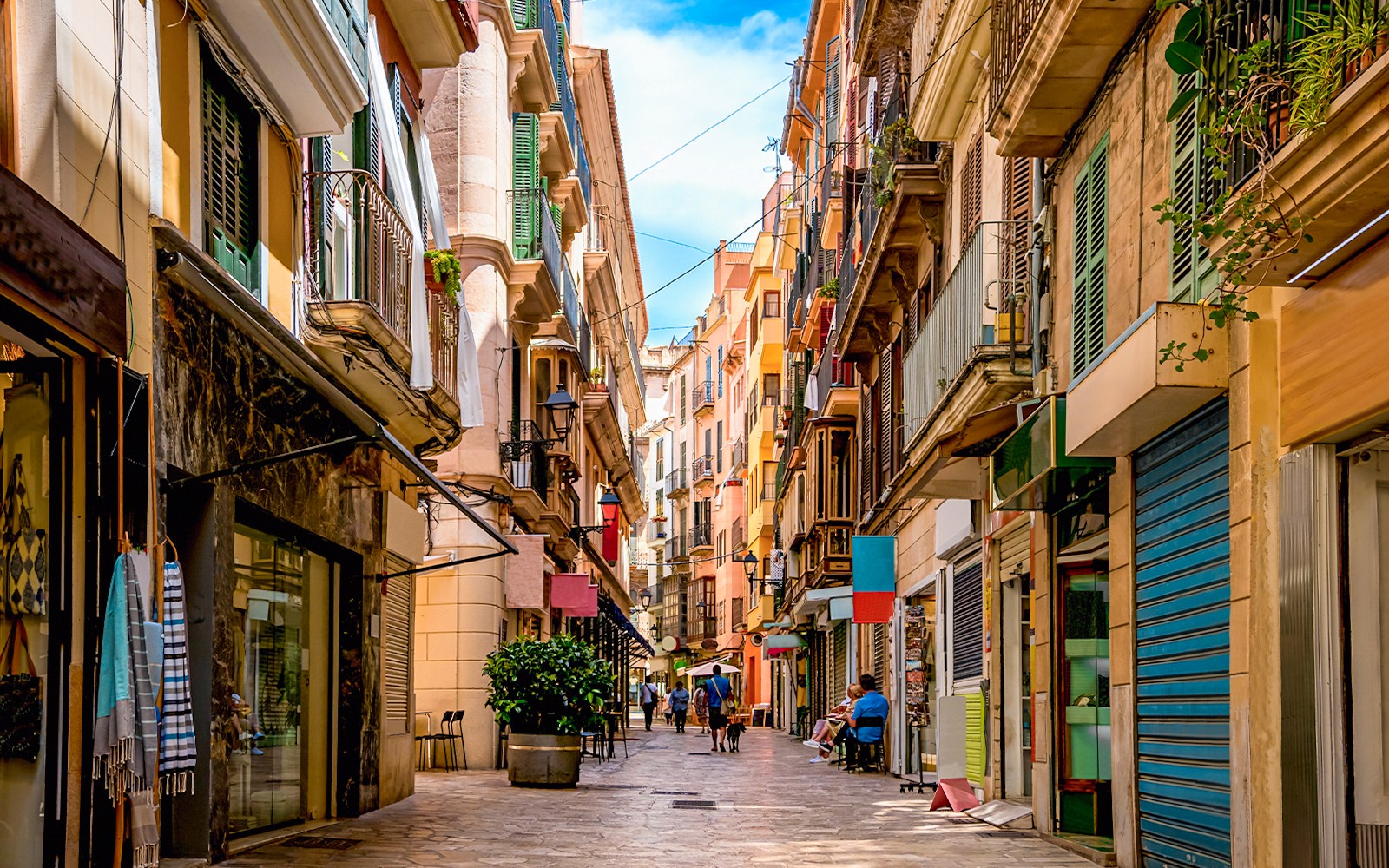 Palma Cathedral & Old Town Guided Tour — gallery 2