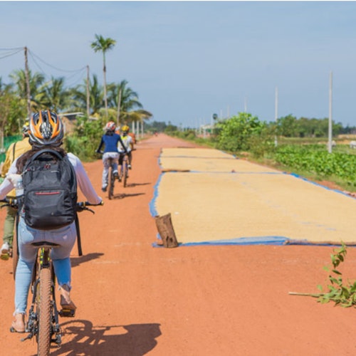 Siem Reap Cycling and Culinary Adventure — gallery 4