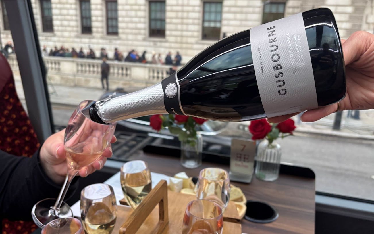 London Sightseeing Tour with Gusbourne Sparkling Wine Tastin visitor view at 258 Vauxhall Bridge Rd