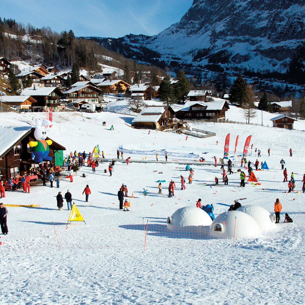 Bodmi Arena: Entry Ticket + Sledding Experience