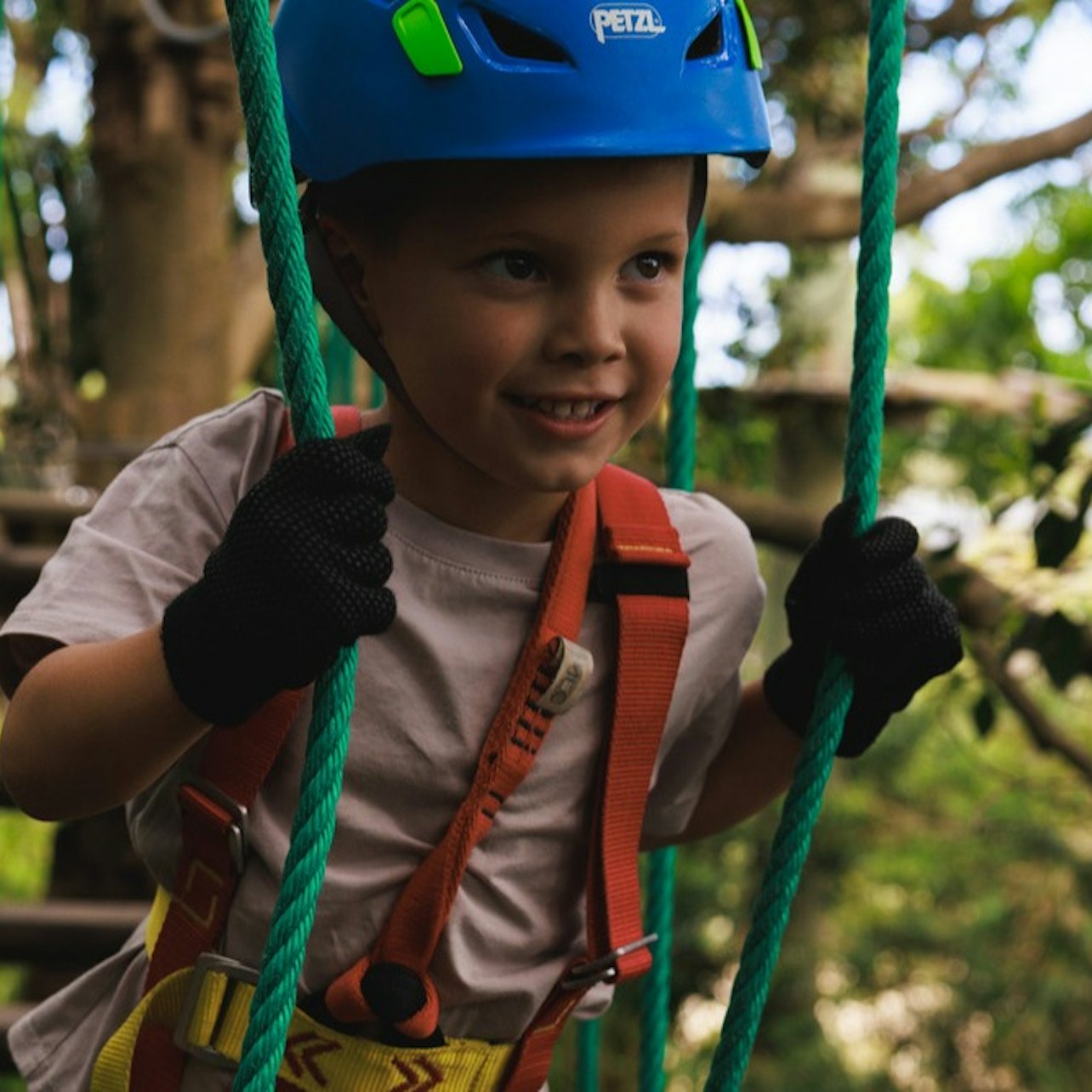 Treetops Adventure Nowra: Junior Ropes Course