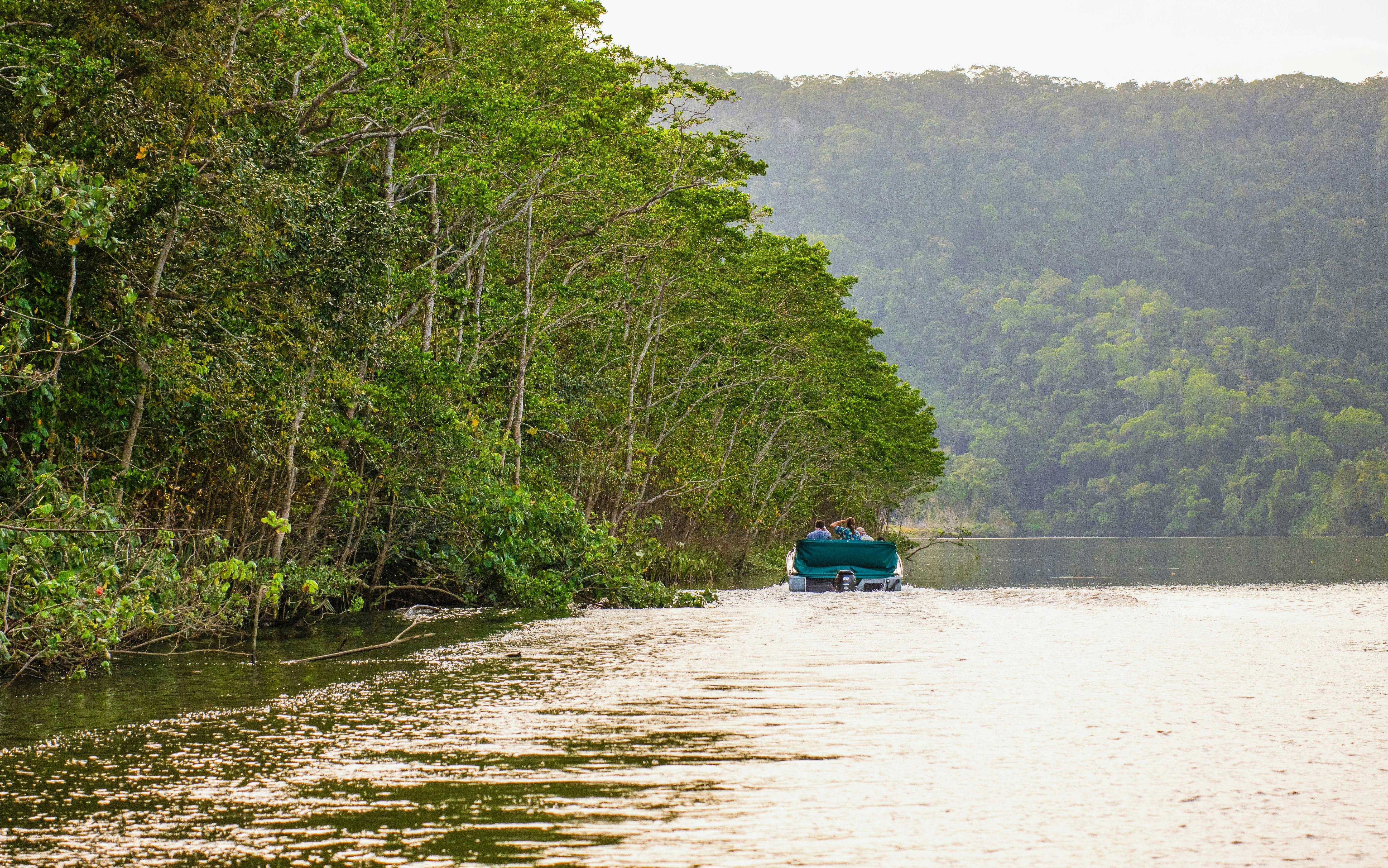 Daintree River Guided Crocodile & Wildlife Experience Cruise