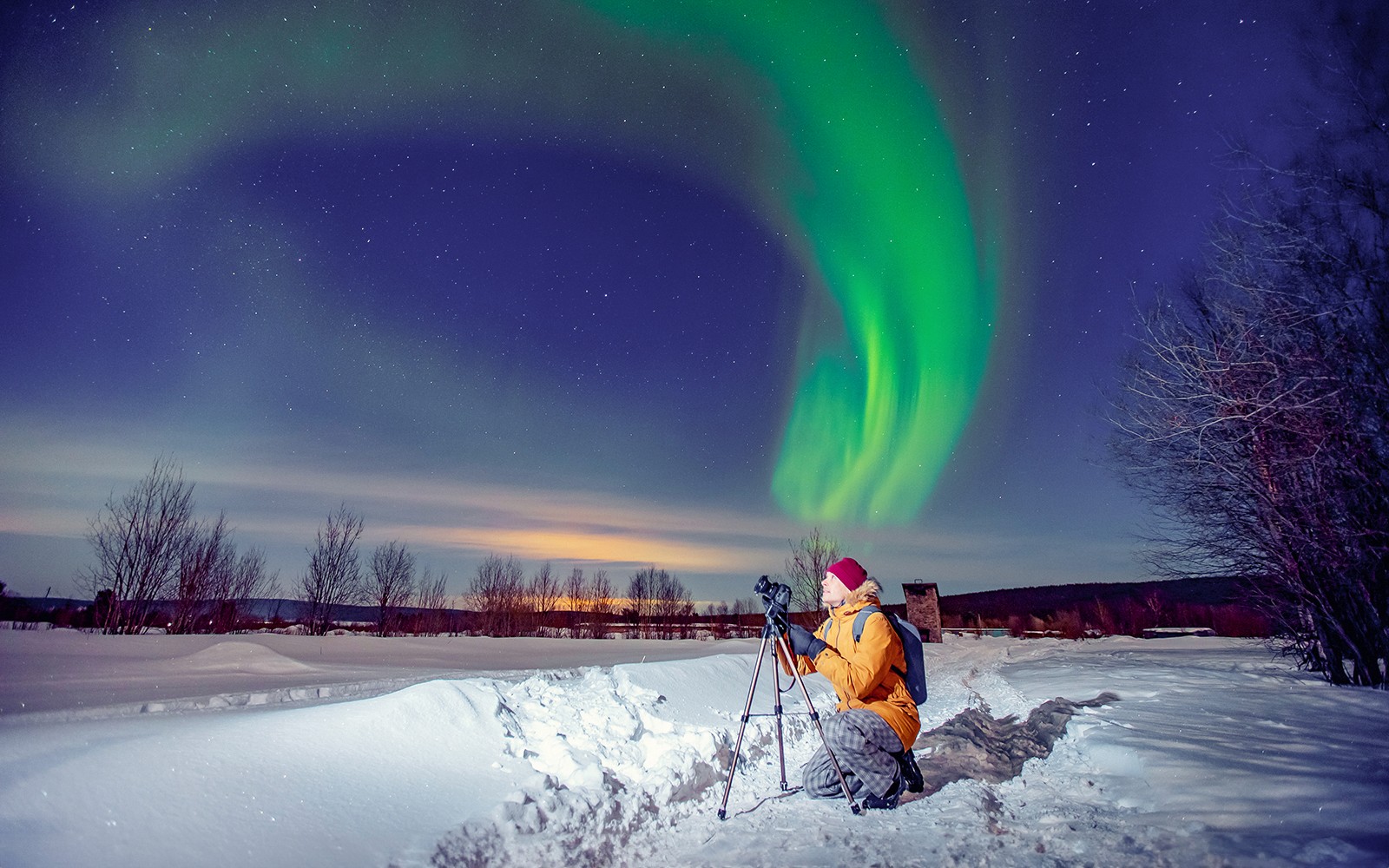 Reykjavik: Northern Lights Small Group Chase Tours