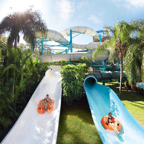 SeaWorld Orlando: Multi-Park Pass + Free All-Day Dining — gallery 2