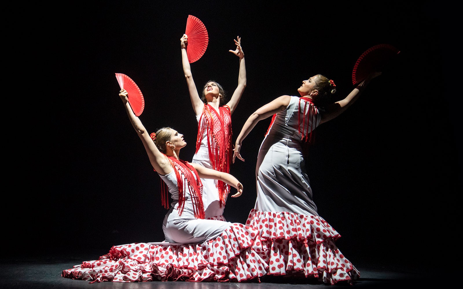 Teatro Flamenco Barcelona - Inspiration Show — gallery 1