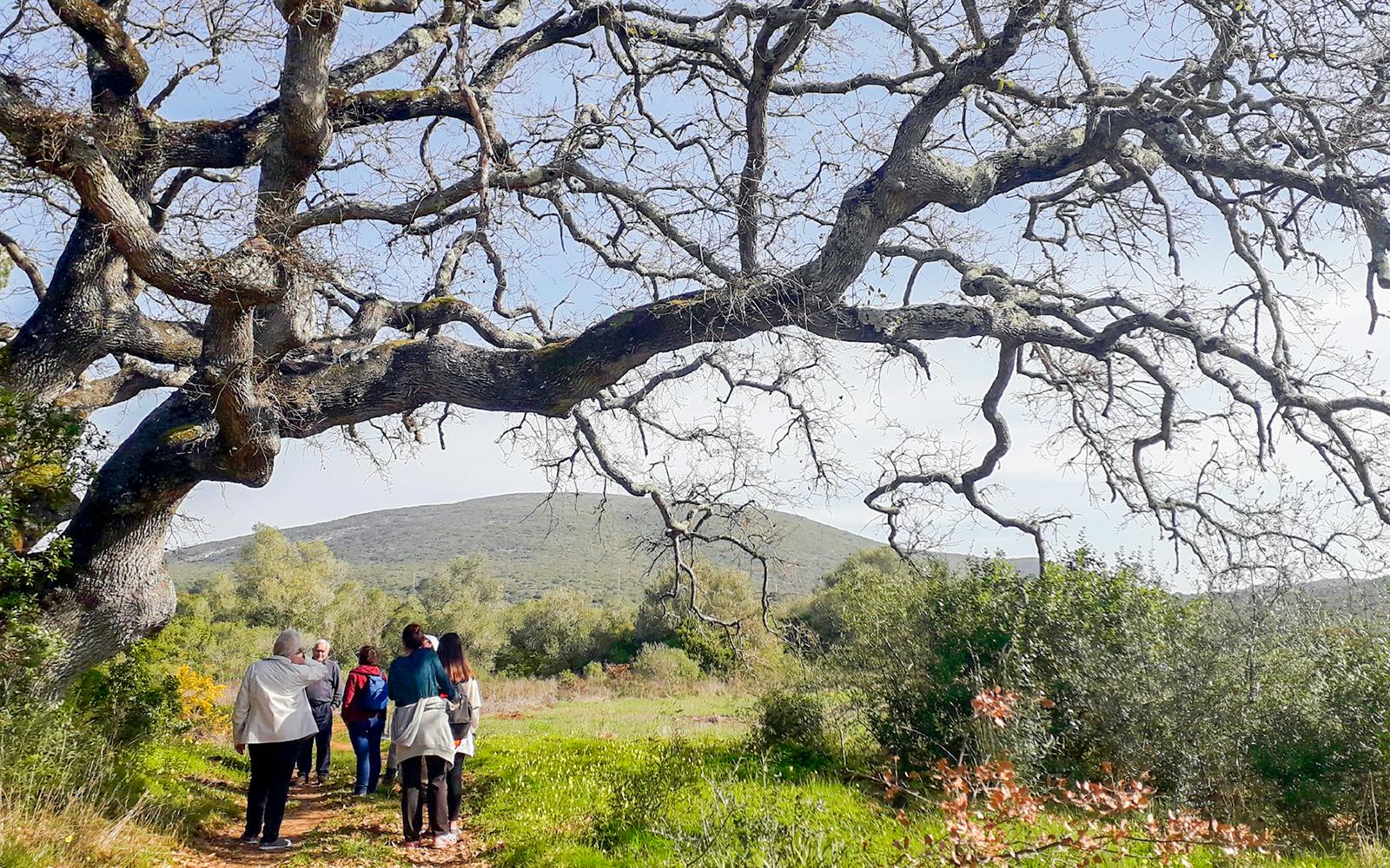 Half-Day Hiking at Arrábida Natural Park