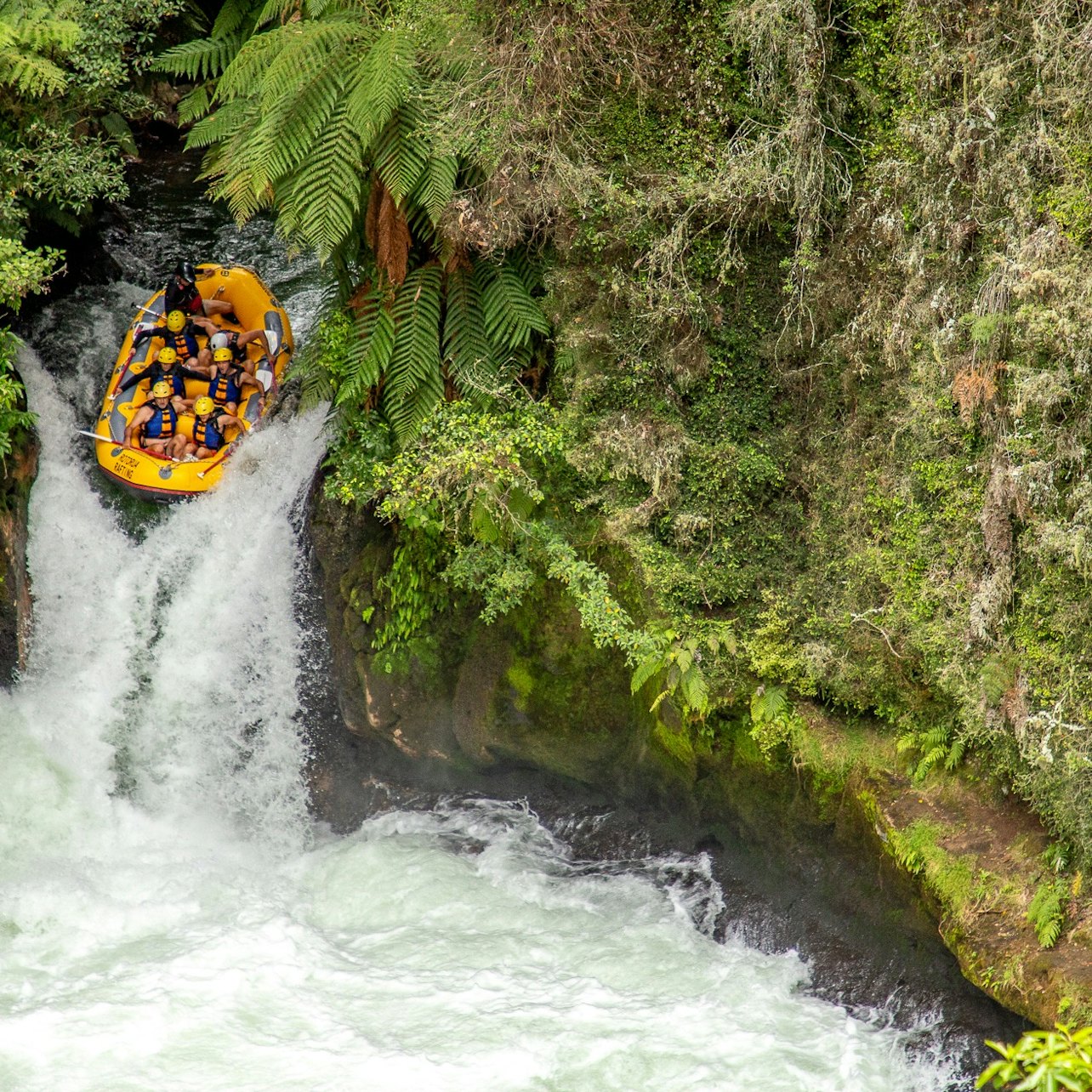 Kaituna River: Grade 5 White Water Rafting