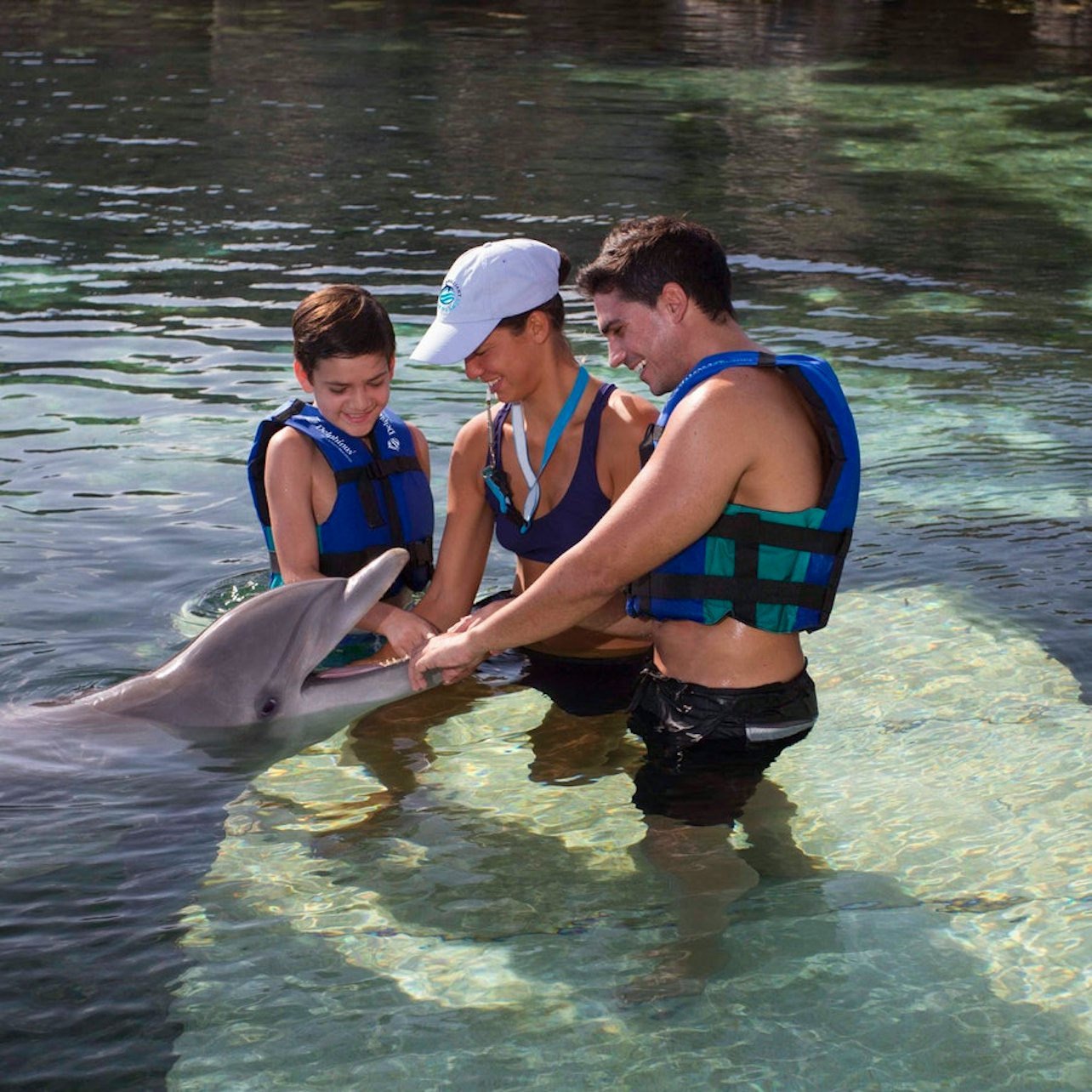 Delphinus Xcaret: Entry Ticket + Transfers + Swim with Dolphins