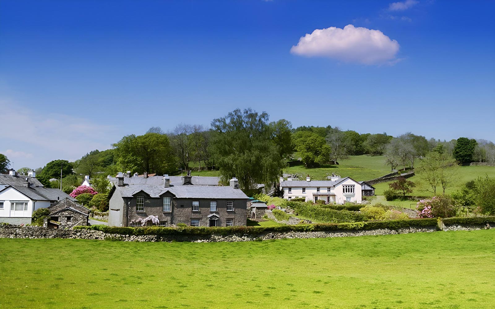 Day Tour of the Lake District from London with Cream Tea & Cruise — mobile