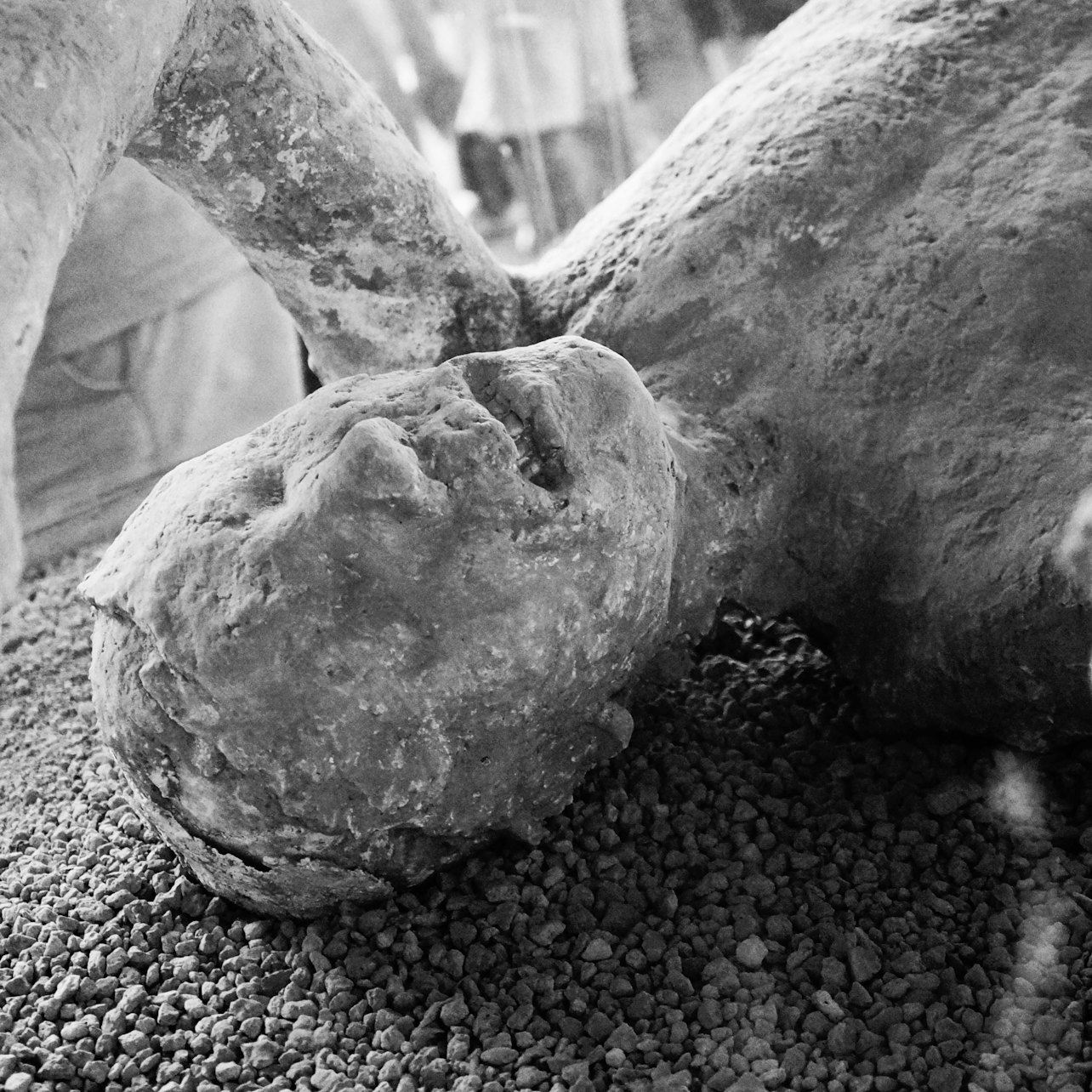 Pompeii: Reserved Entry