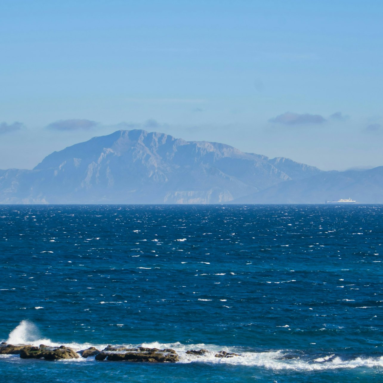 Tarifa: Dolphin & Whale Watching Tour from Seville — gallery 3