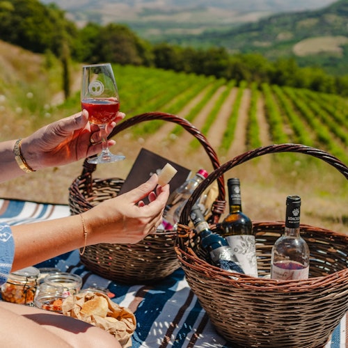 Corte Pavone Winery Estate: Picnic with Wine & Food + Vineyard Guided Tour