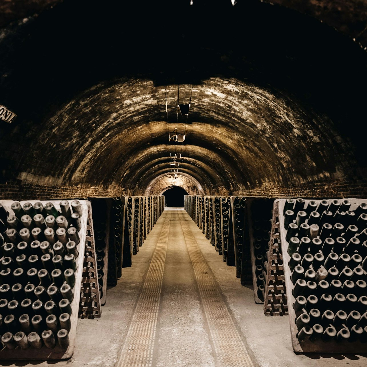Codorníu Winery: Guided Tour + La Torre Menu Lunch + Cava Tasting