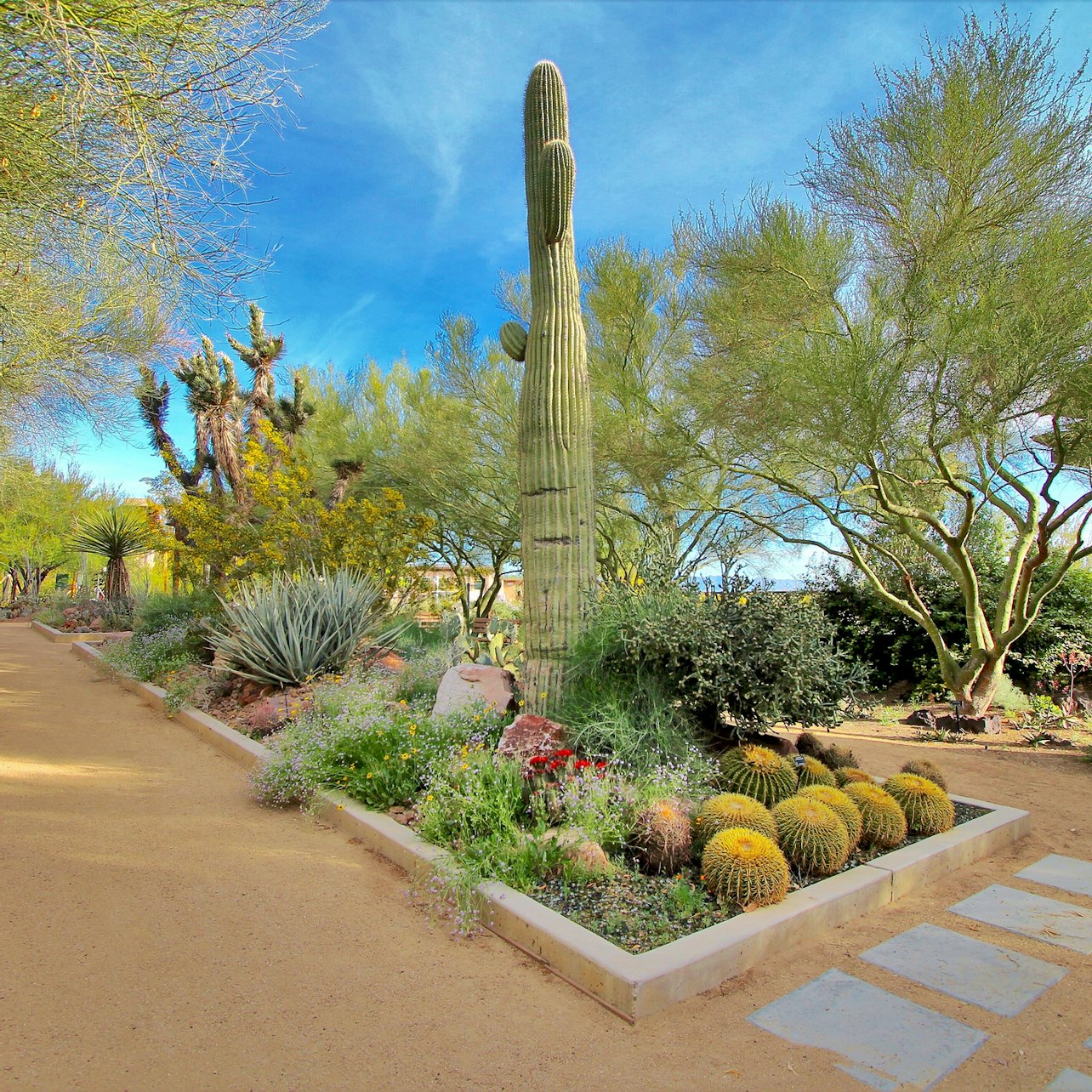 Springs Preserve & Nevada State Museum — gallery 2