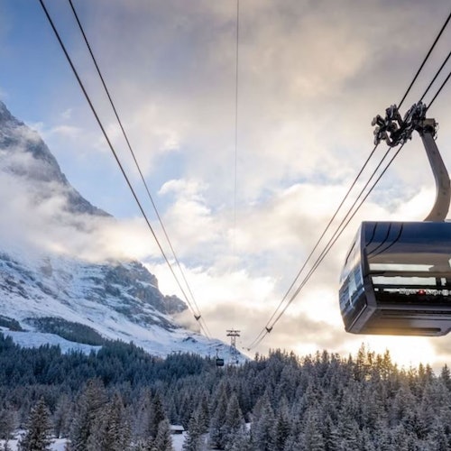 Jungfraujoch: Roundtrip Train from Grindelwald — gallery 1