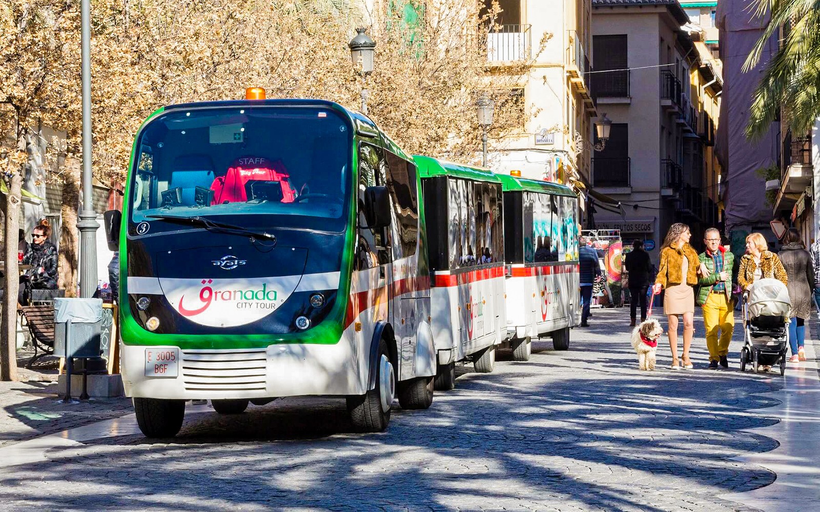 City Tour: Granada Hop-on Hop-off Train Tour — gallery 1