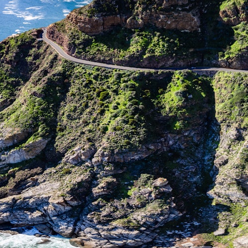 Cape Town & Table Mountain: Guided Tour + Roundtrip Transfer — gallery 2