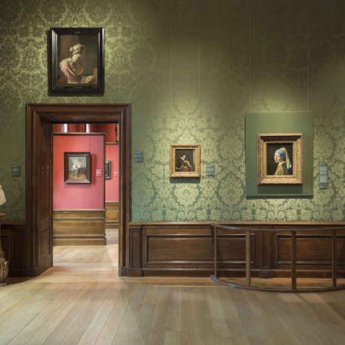 The Mauritshuis Museum: Entry Ticket — gallery 1