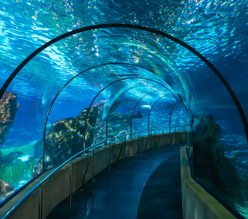 Barcelona Aquarium: Skip the Line — gallery 4