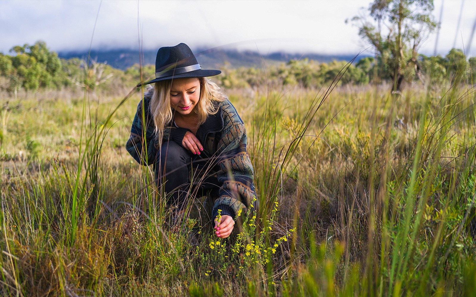 From Melbourne: 1-Day Guided Tour of Grampians Eco Wilderness — gallery 1