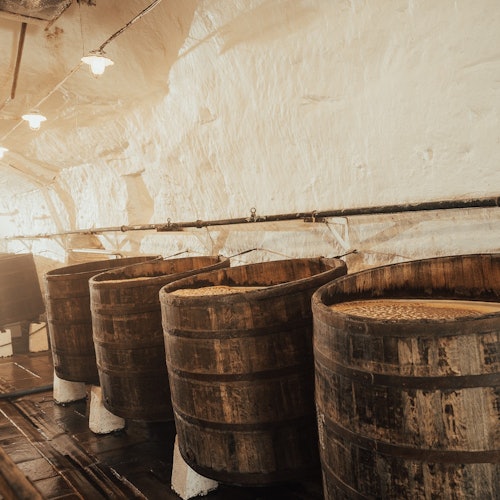 Pilsner Urquell Brewery: Guided Tour with Beer Tasting