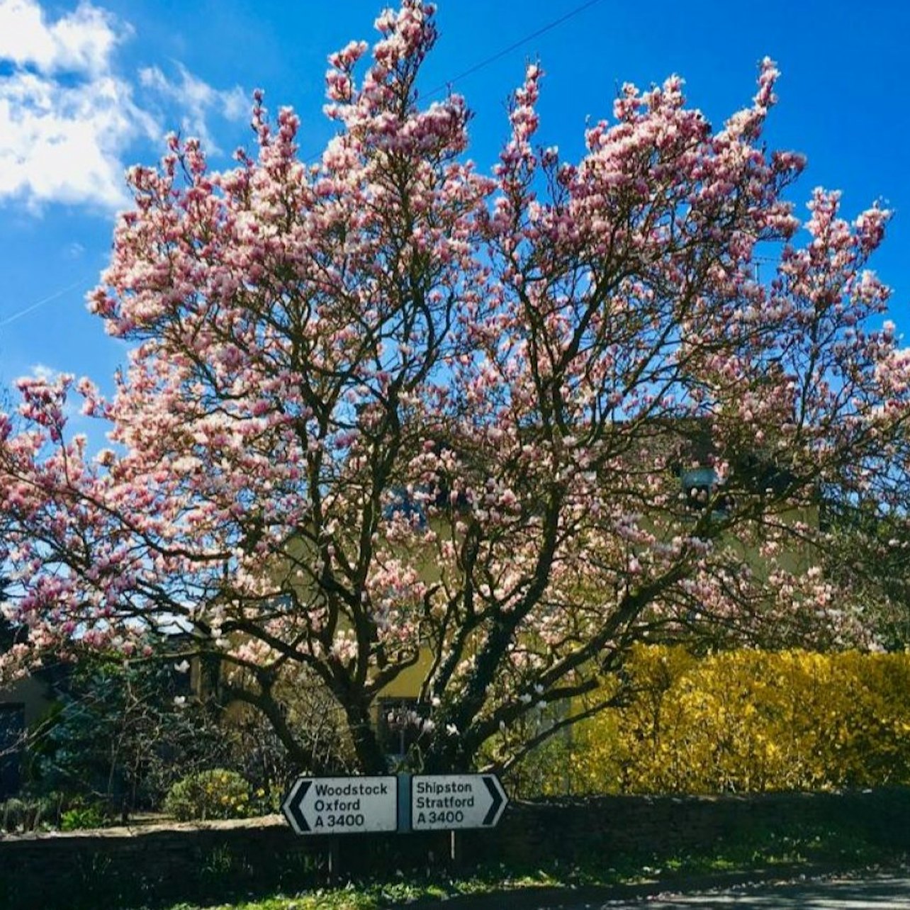Cotswolds: Small Group Tour from London with Bourton-on-the-Water — gallery 4