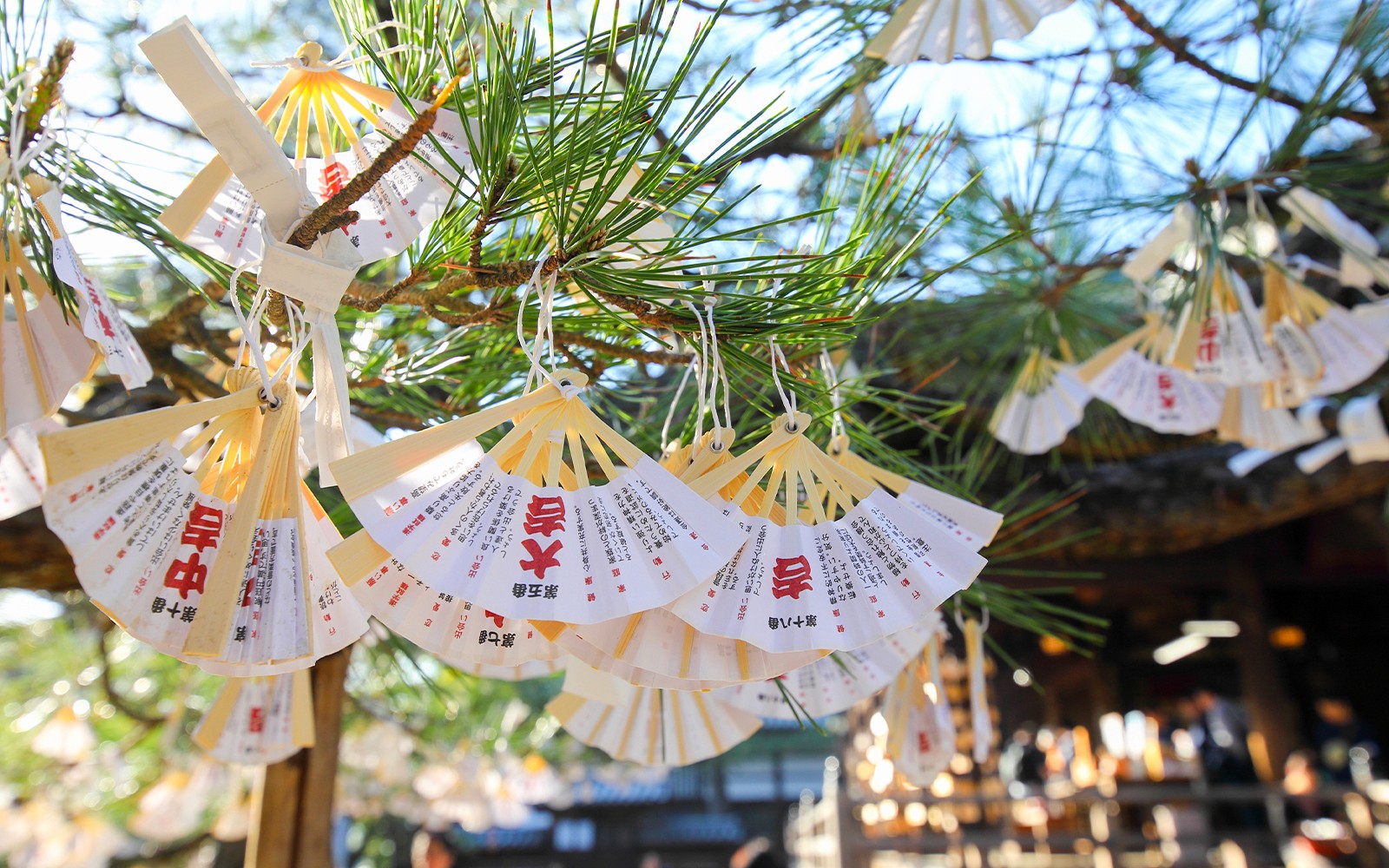 Kyoto Coast Guided Tour: Amanohashidate View & Ine’s Floating Village from Osaka/Kyoto — gallery 2