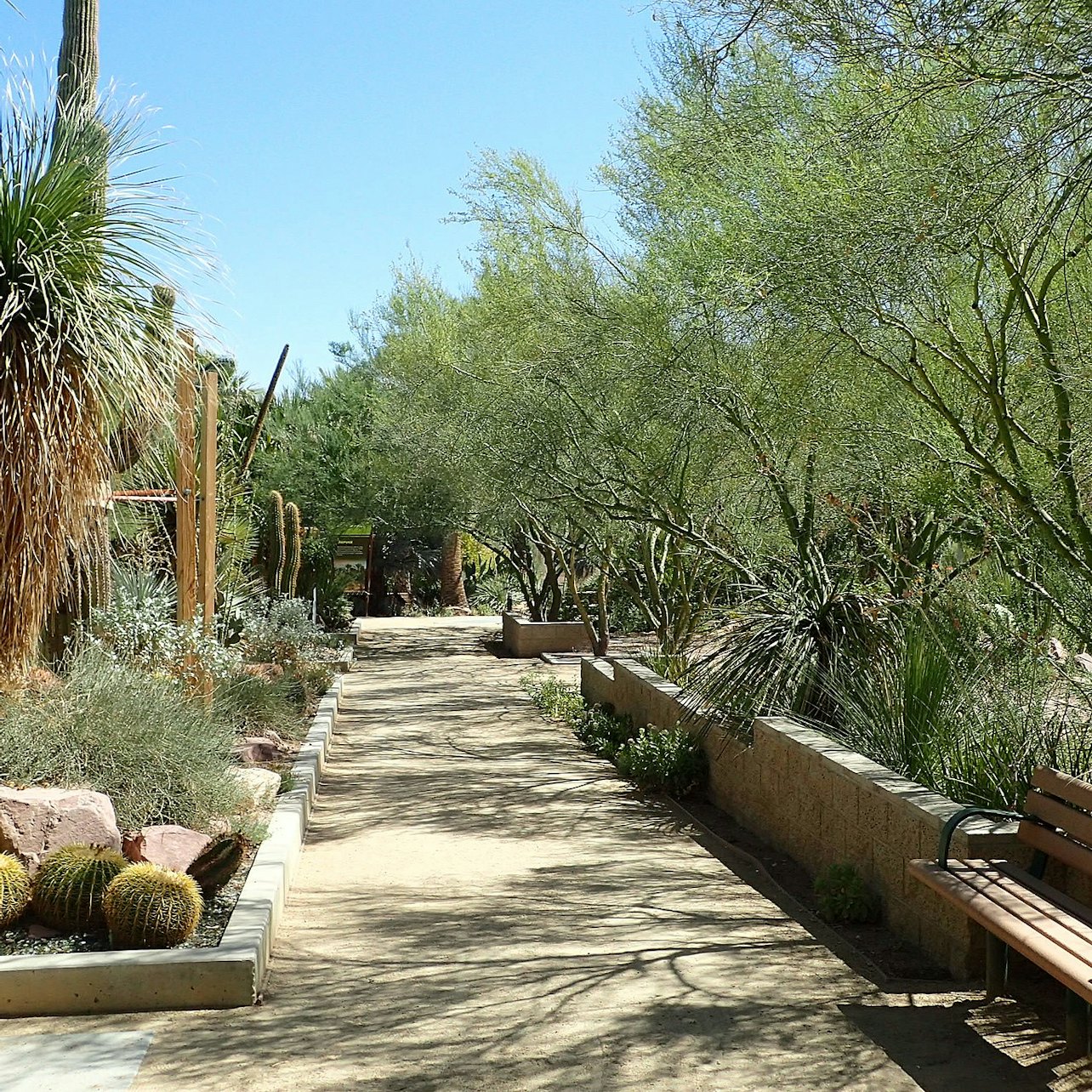 Springs Preserve & Nevada State Museum — gallery 3
