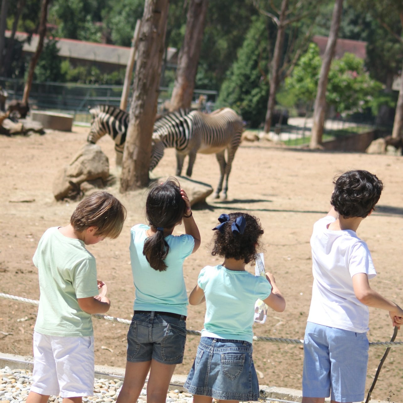 Zoo Santo Inácio: Skip The Line Ticket — gallery 4