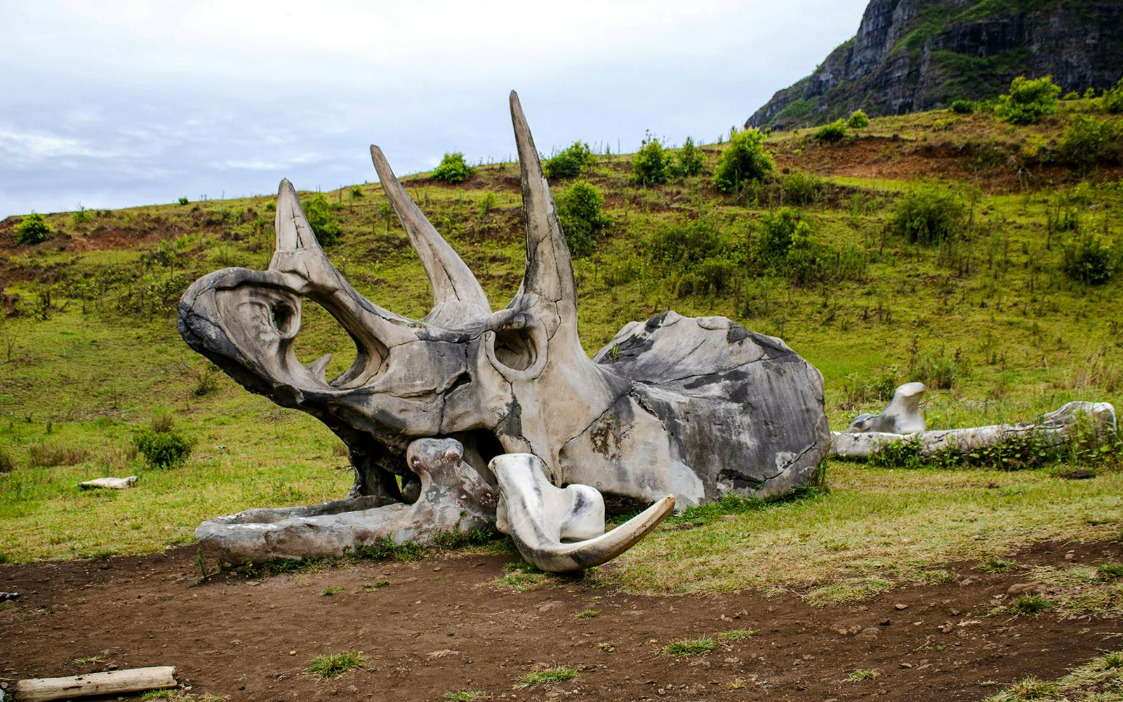 Kualoa Ranch: Jurassic Adventure Tour