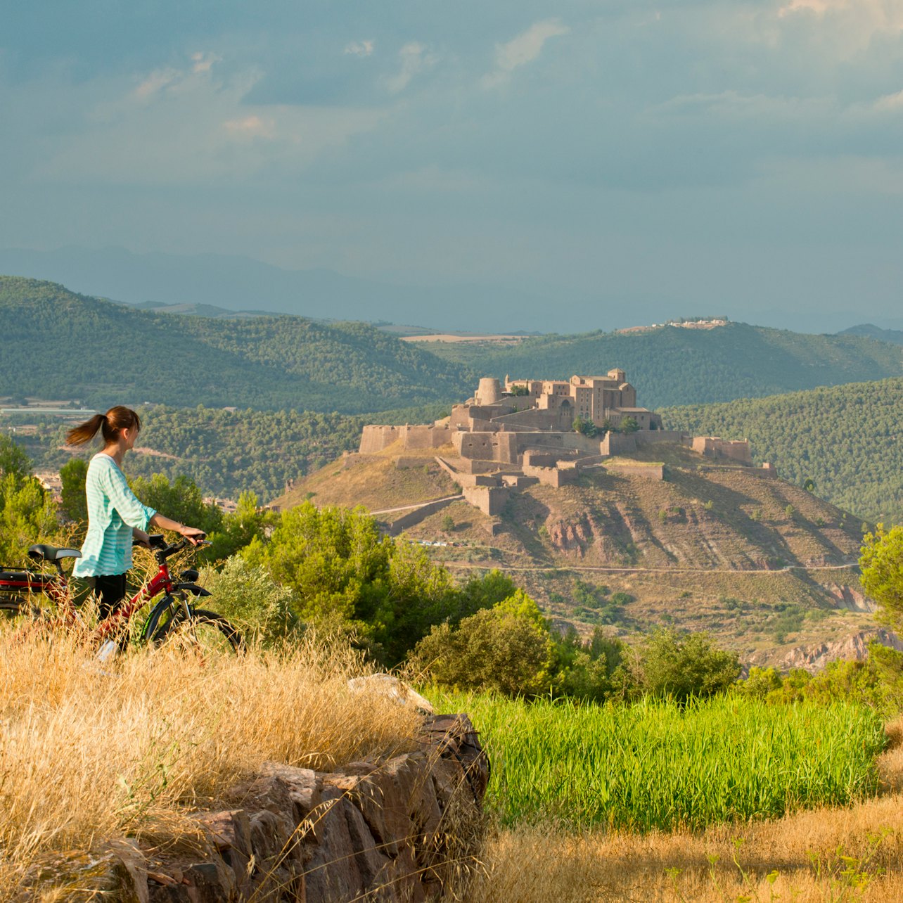 Castle of Cardona: Guided Visit