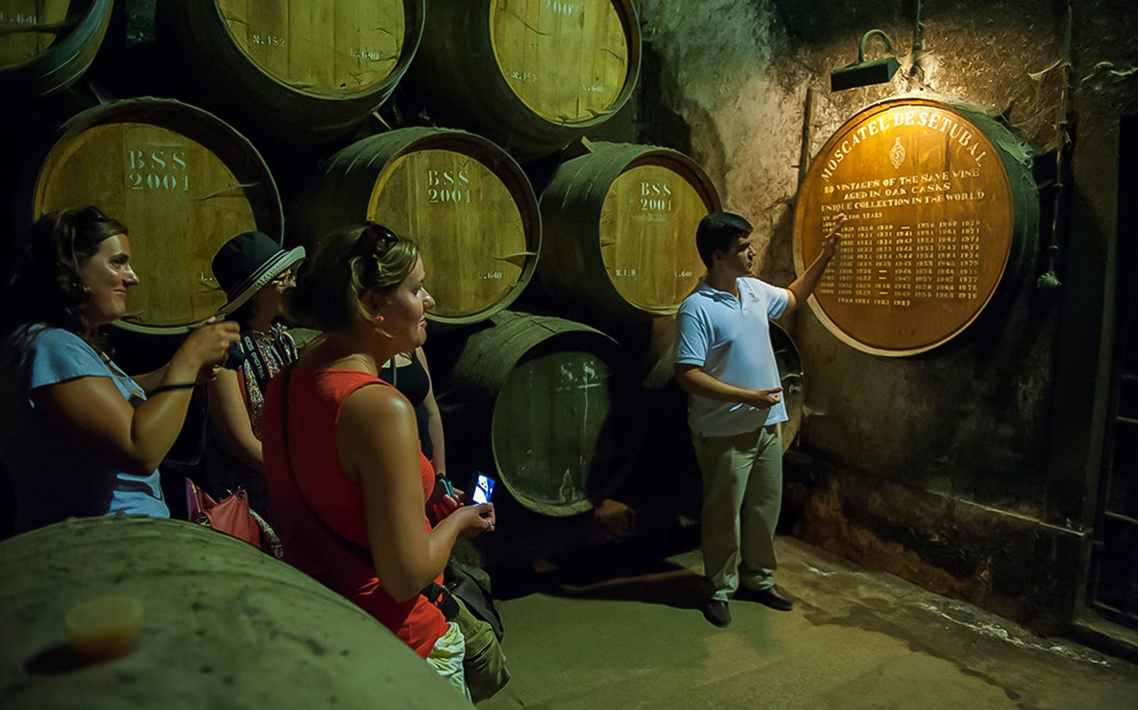 Small Group Wine Tour in Arrábida from Lisbon
