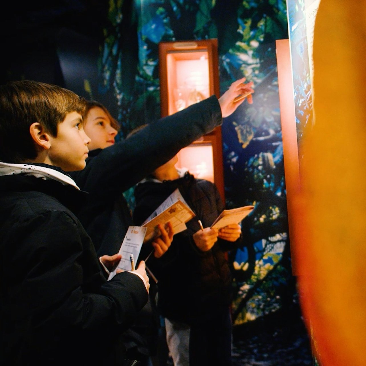 Rex Studios + Musée du Chocolat