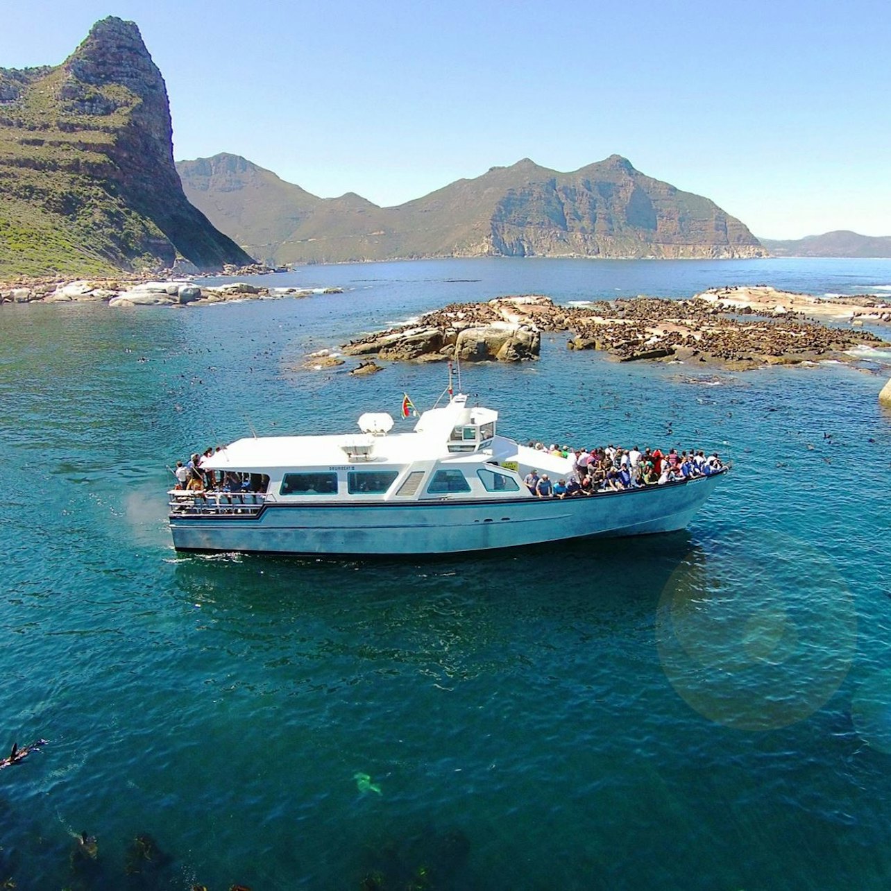 Duiker Island: Seal Sightseeing Cruise