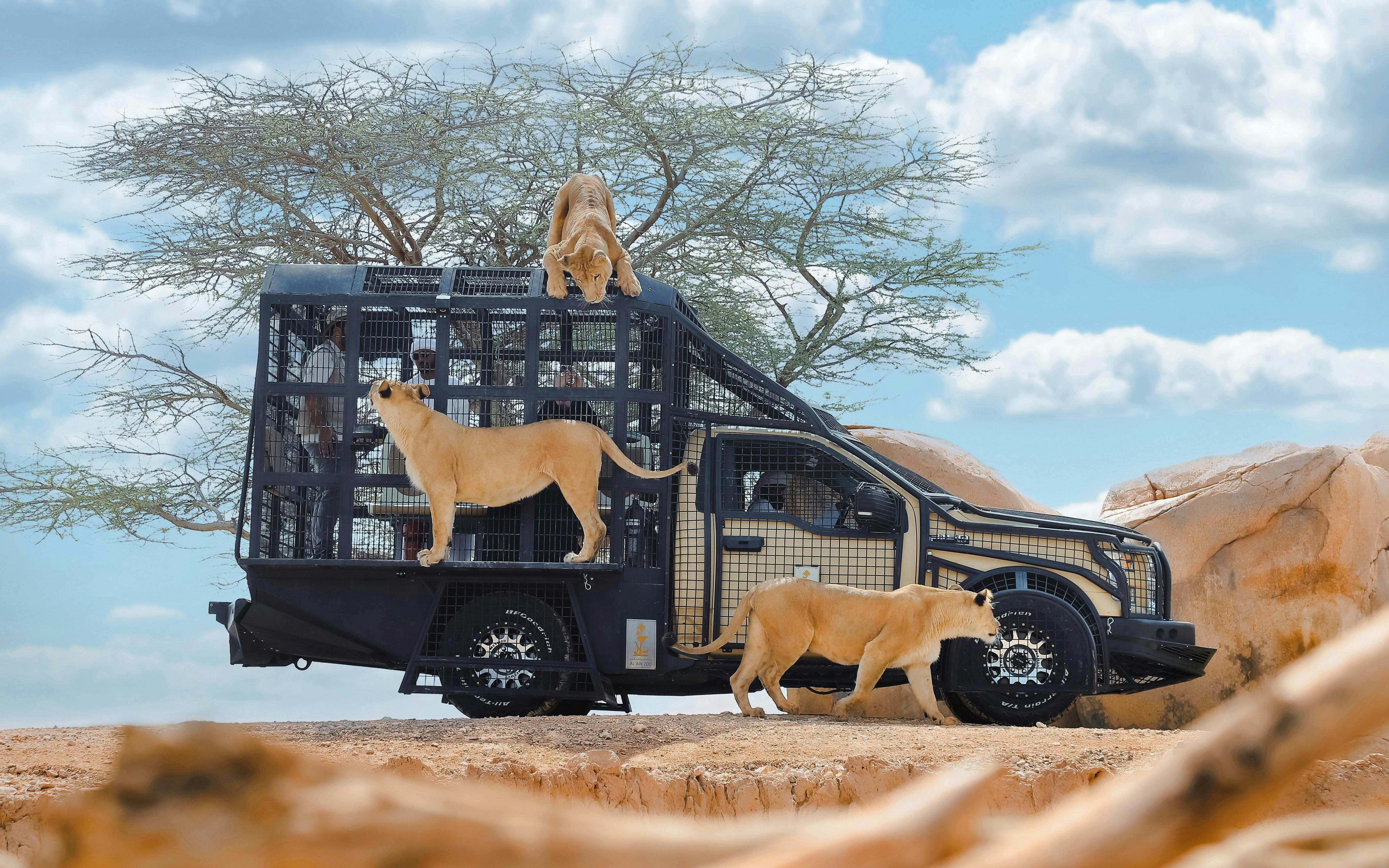 Al Ain Zoo Tickets