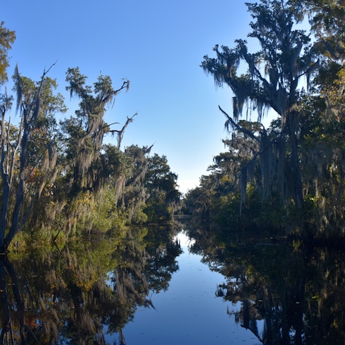 New Orleans: Airboat Adventure — gallery 1