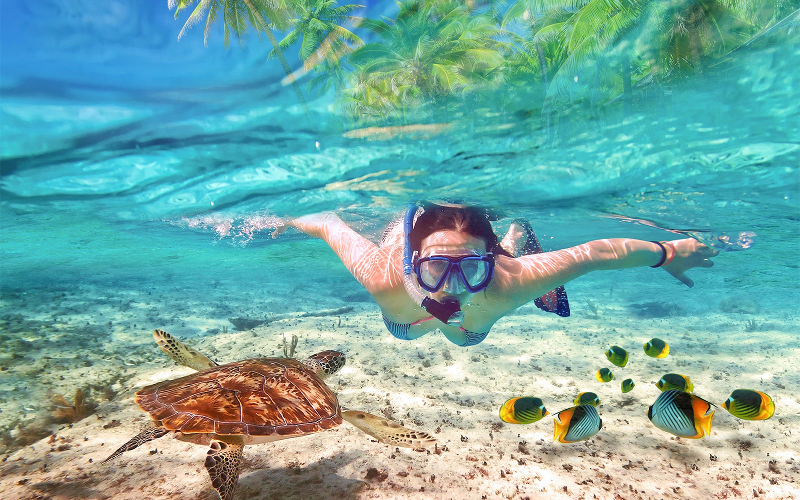 Private Bali Snorkeling Blue Lagoon & Tanjung Jepun — gallery 1