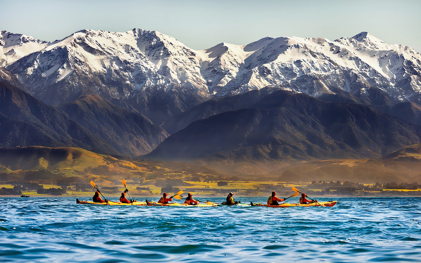 Kaikoura Guided Wildlife Kayaking Experience