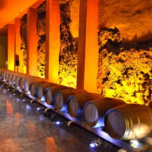 Bodegas Monje: Winery Visit & Wine Tasting — gallery 2