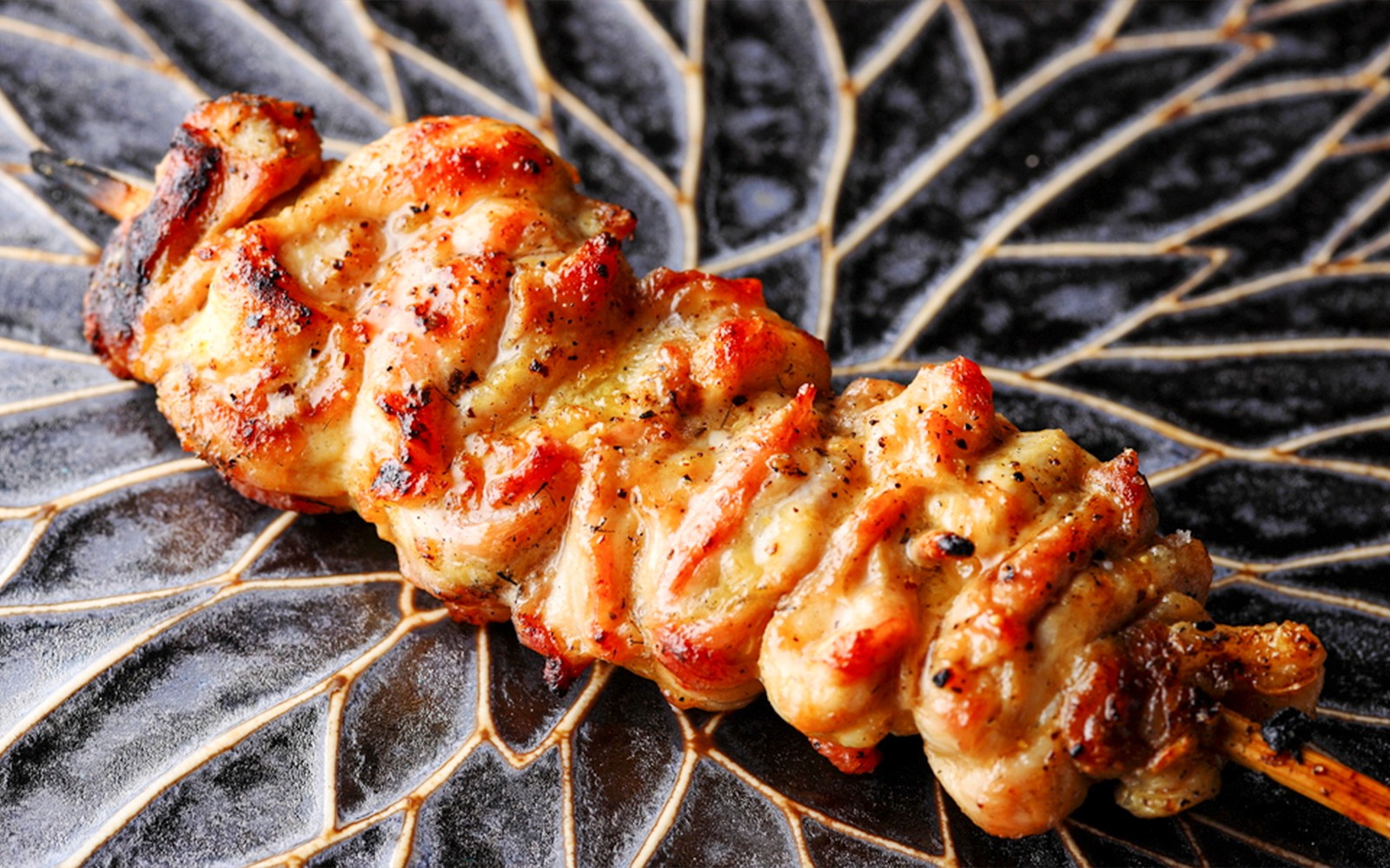 6/9-Course Yakitori Meal at Yakitori Tsukiya — gallery 3