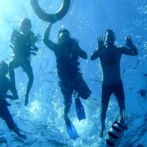 Hurghada: Dolphin House Snorkeling Trip — gallery 5
